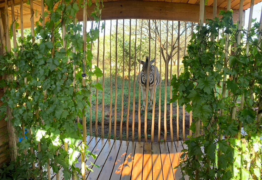 Mudhouse Zululand Villa Хлухлуве Екстериор снимка
