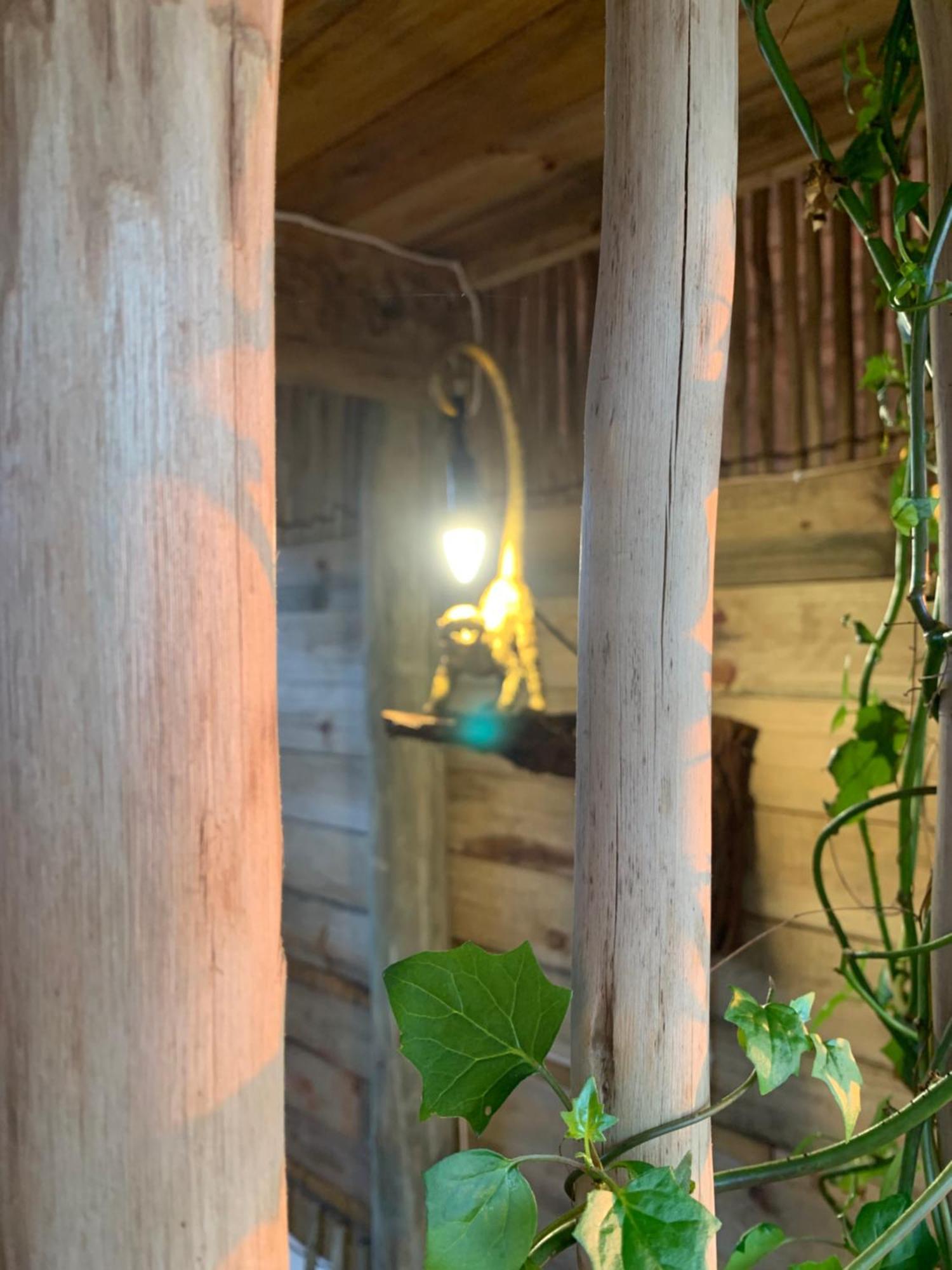 Mudhouse Zululand Villa Хлухлуве Стая снимка